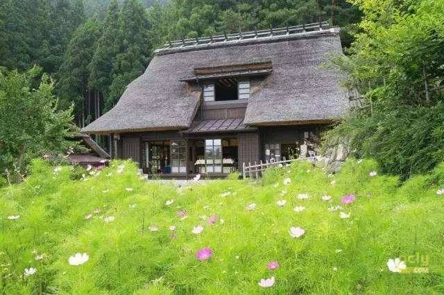 蟹岛2
