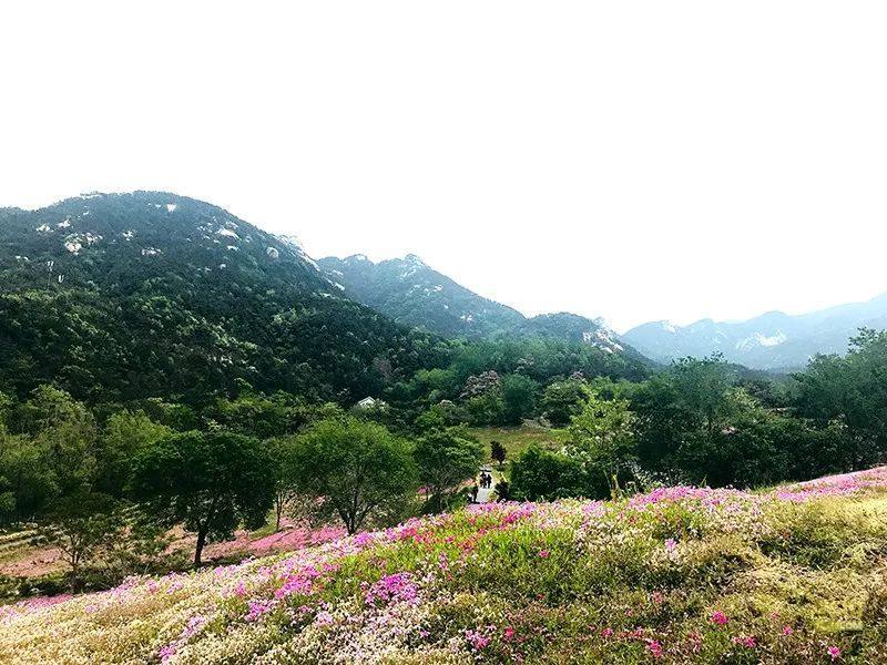 龙口山景
