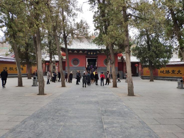 少林三 少林三