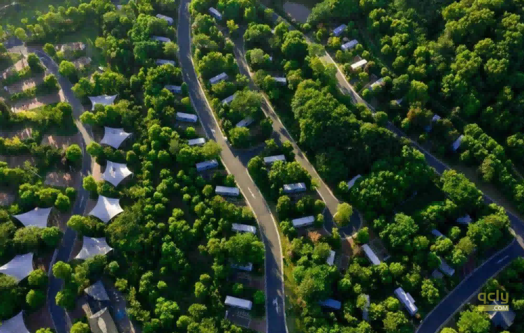 龙山营地