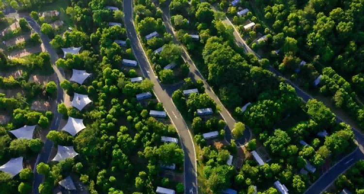 龙山营地