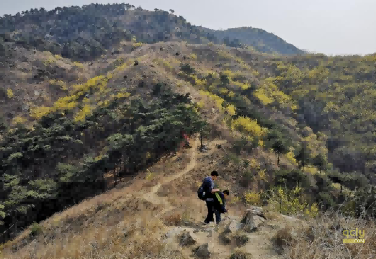 云梯山3