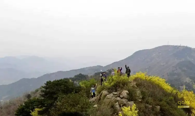 云梯山12