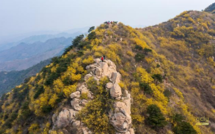 云梯山231