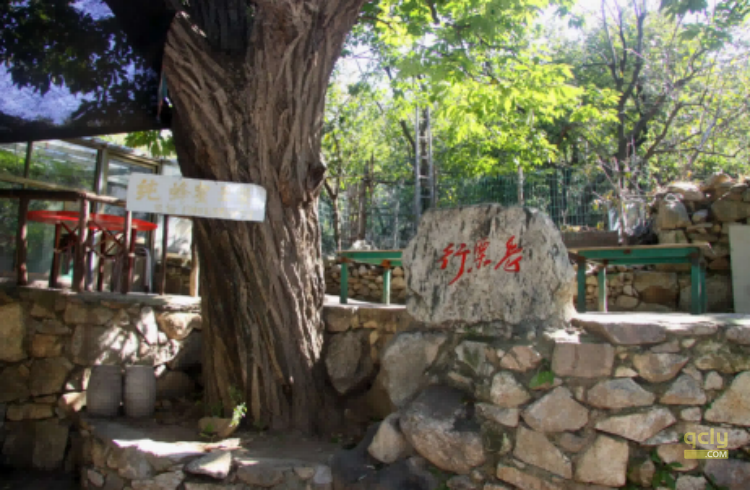 云梯山123