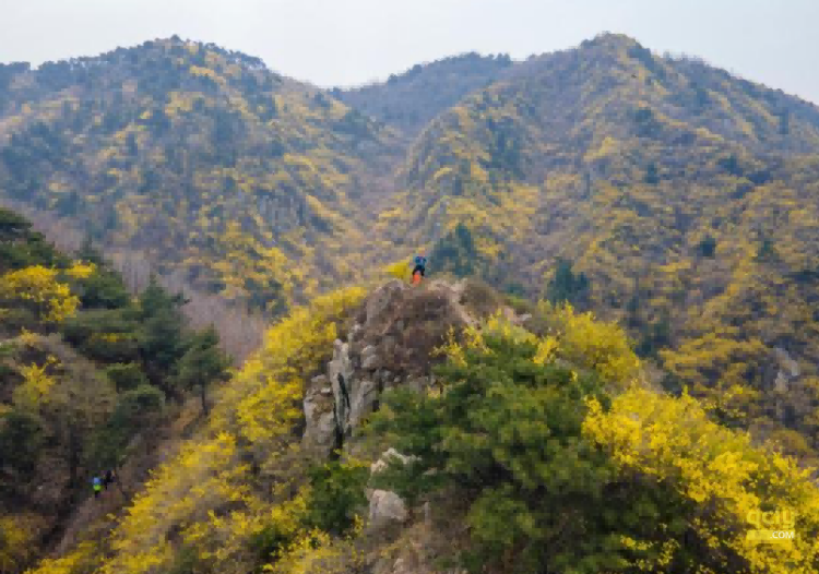 云梯山432