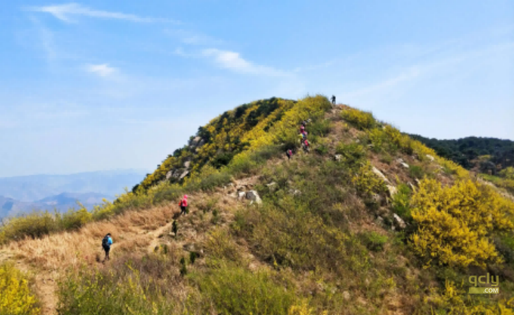 云梯山53