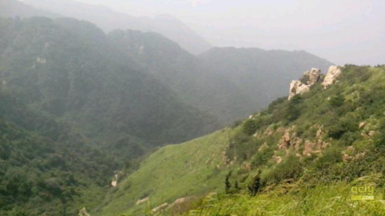 云梯山321