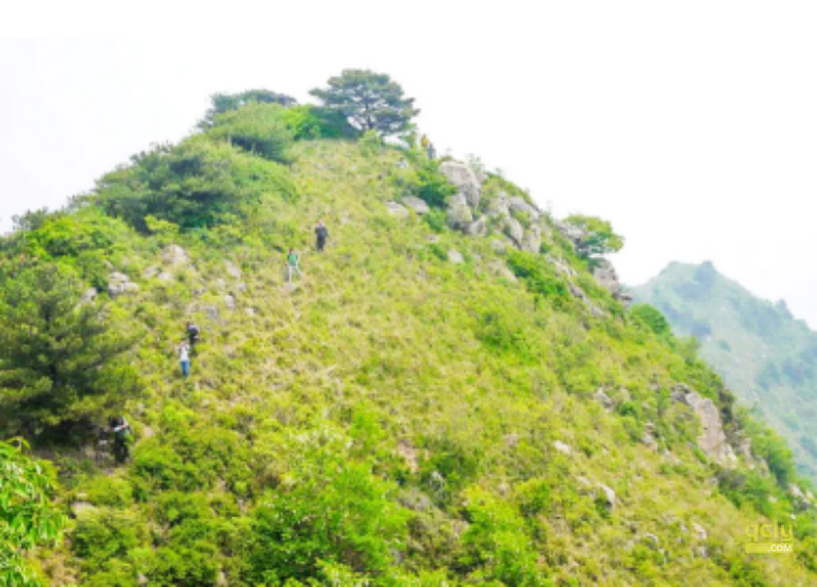 云梯山2