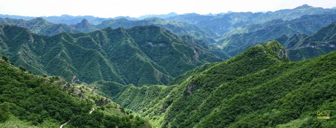 花台封面