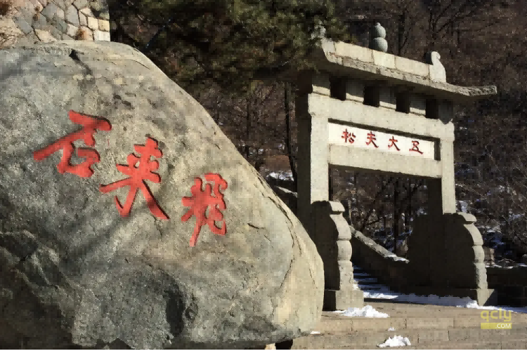 泰山213