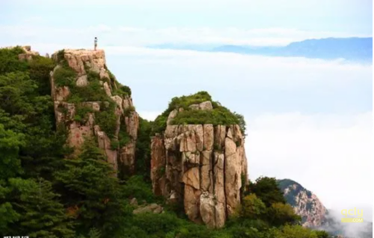 泰山541