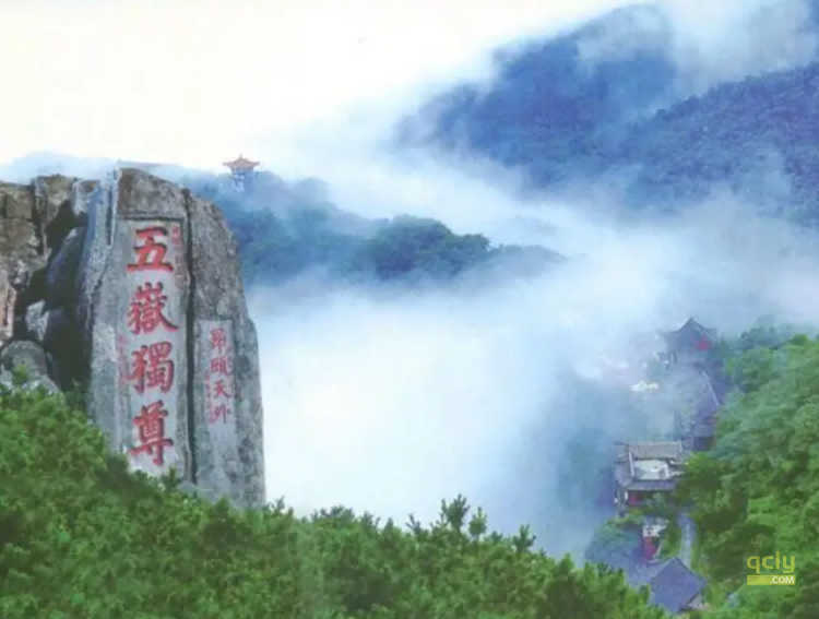 泰山534
