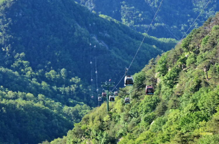 泰山索道332