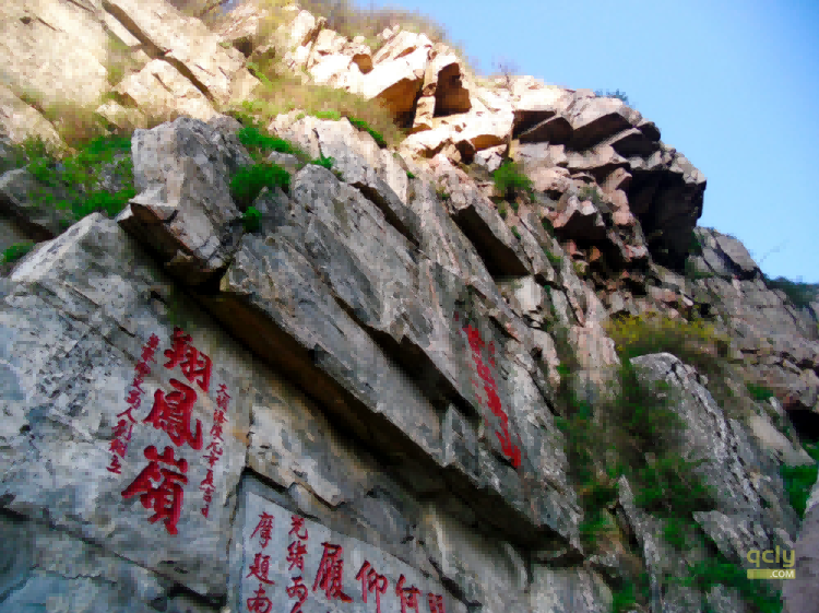 泰山423