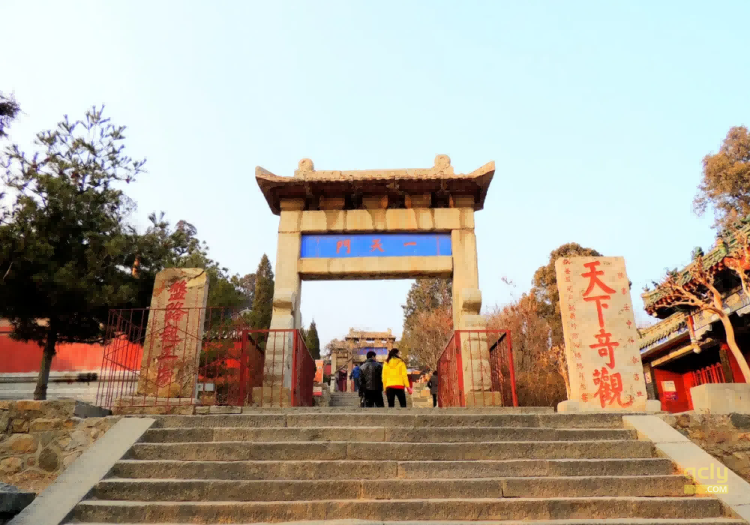 泰山31