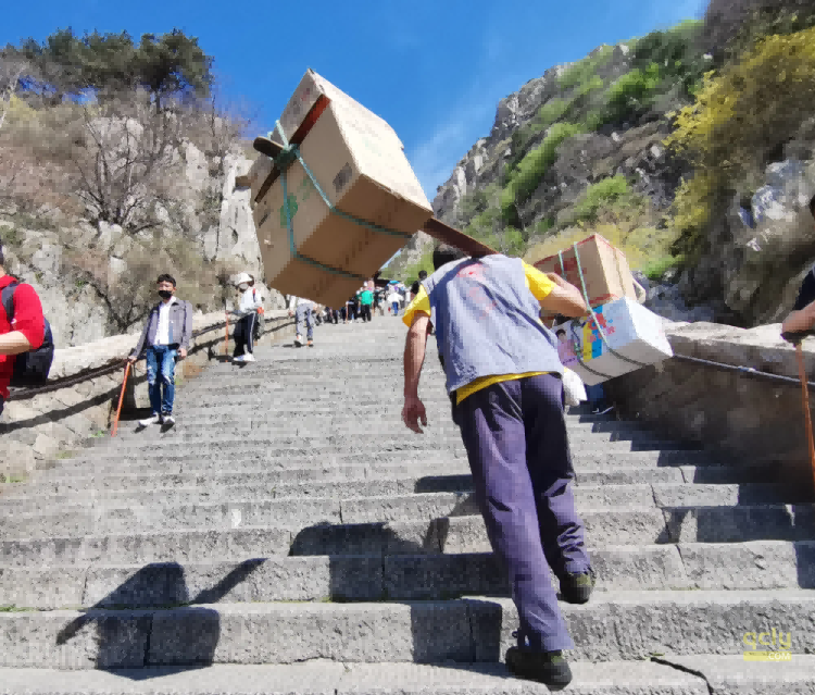 泰山4232